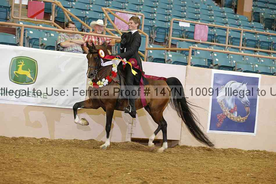 Proof 14yn_10091