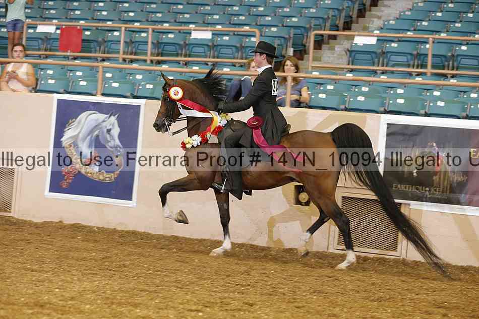 Proof 14yn_10094