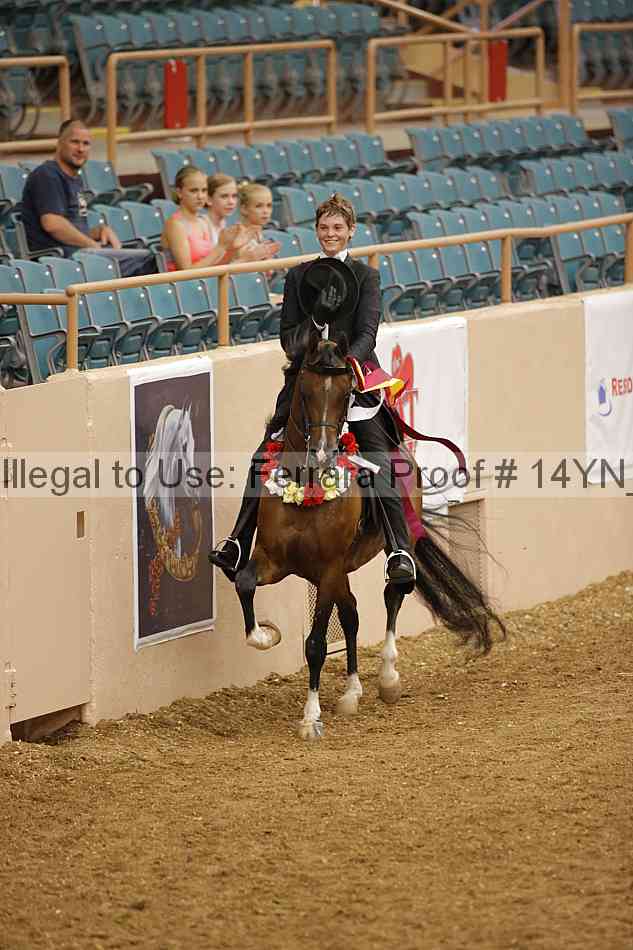 Proof 14yn_10095