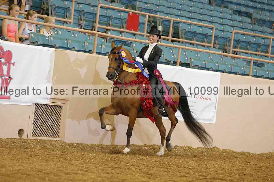 Proof 14yn_10099