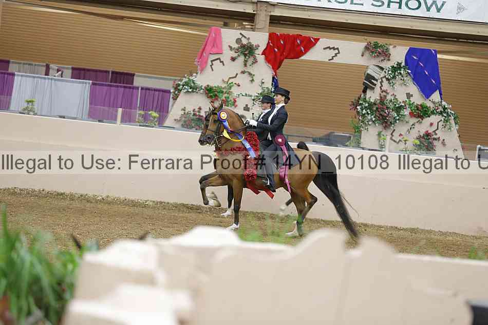Proof 14yn_10108