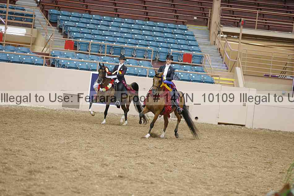 Proof 14yn_10109