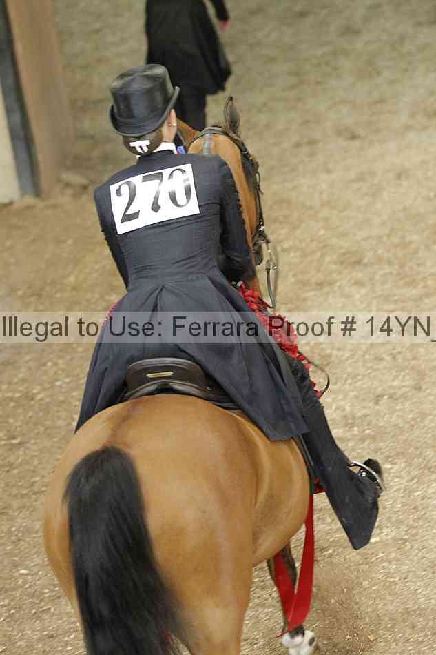 Proof 14yn_10129