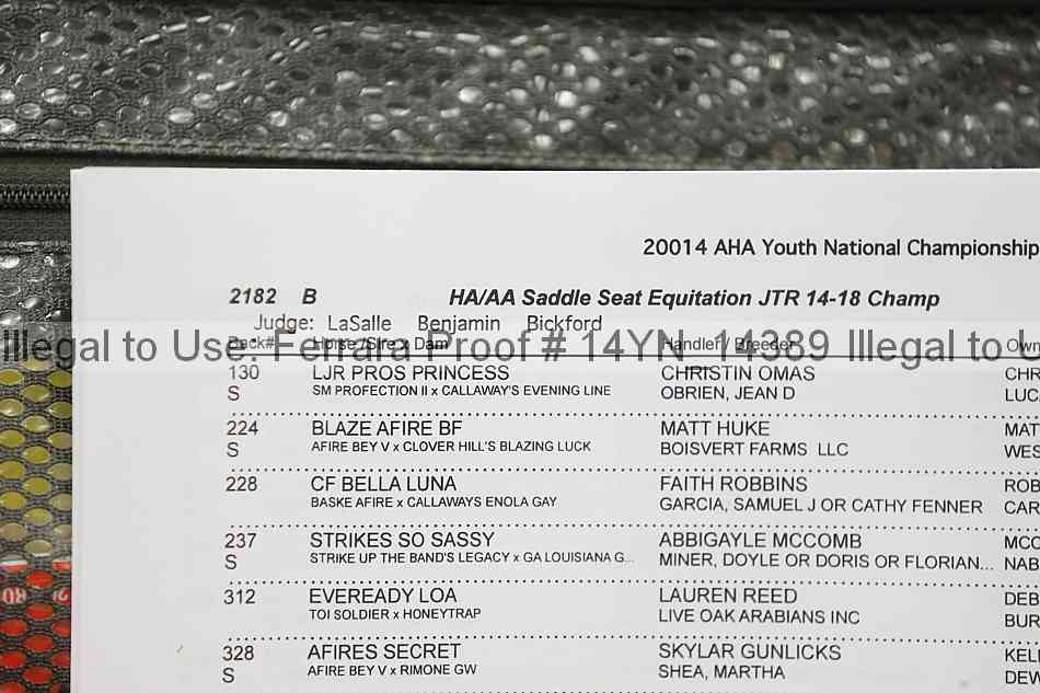 Proof 14yn_14389