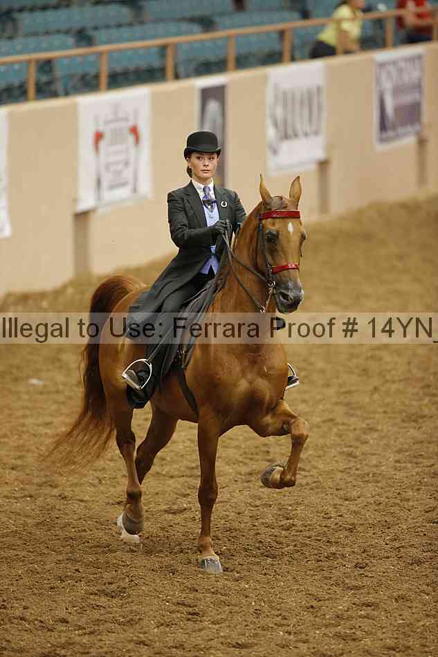 Proof 14yn_14407
