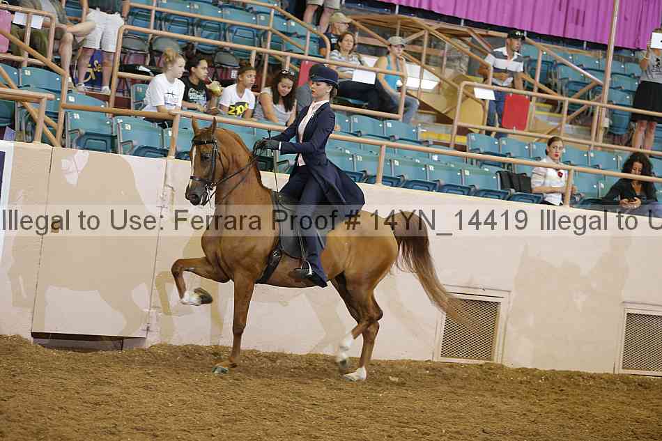 Proof 14yn_14419