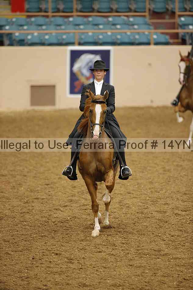 Proof 14yn_14446