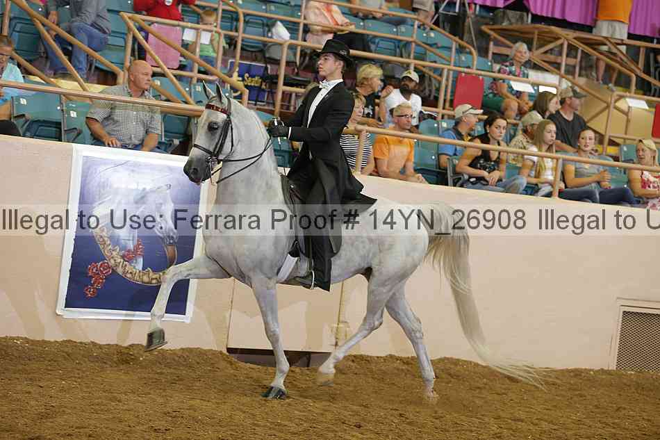 Proof 14yn_26908