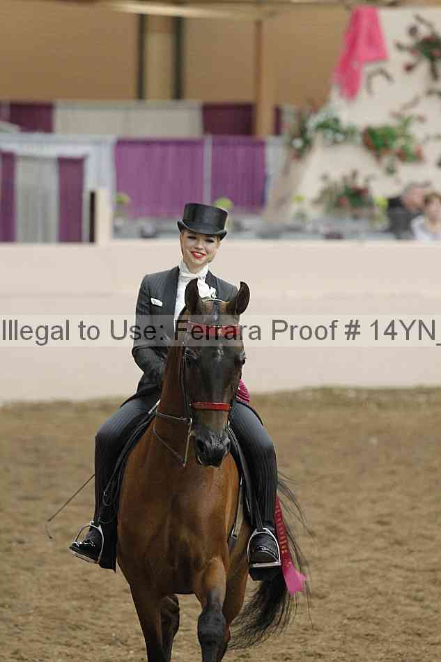 Proof 14yn_27028
