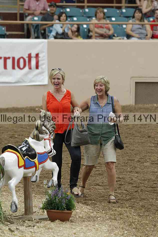 Proof 14yn_27059