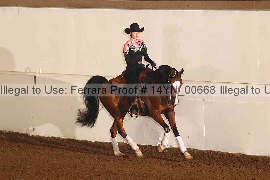 Proof 14yn_00668