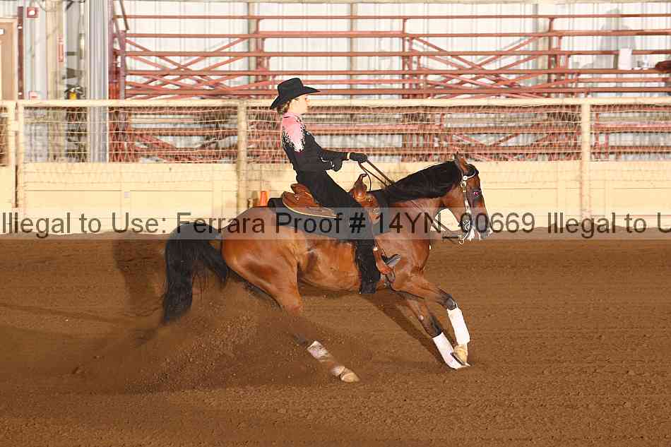 Proof 14yn_00669