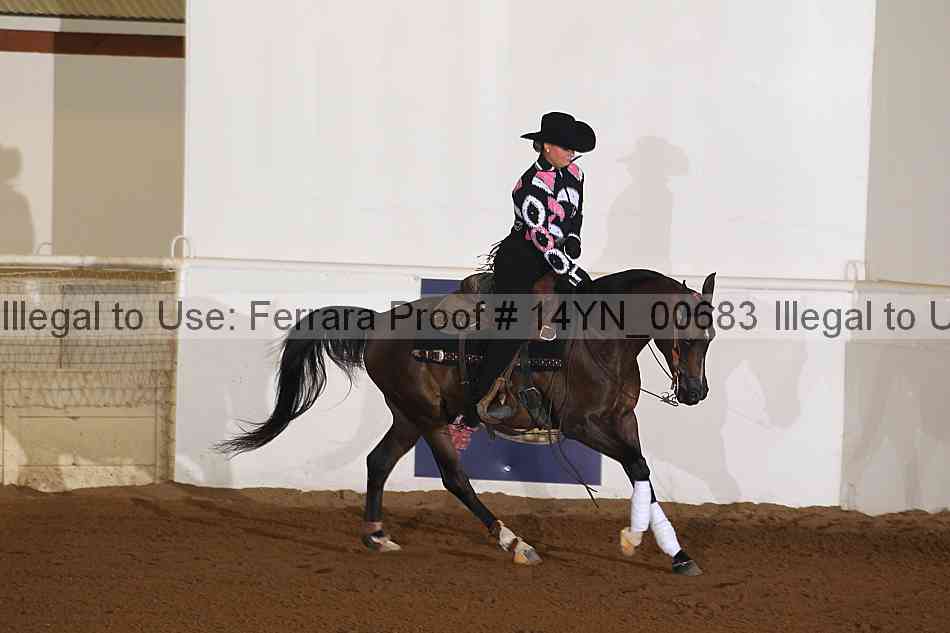 Proof 14yn_00683