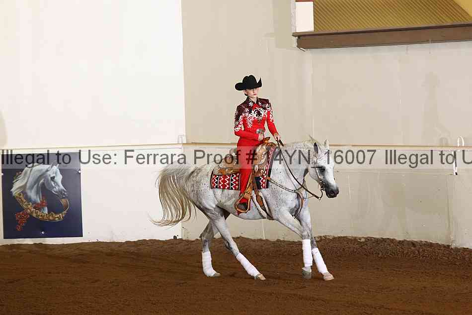 Proof 14yn_16007