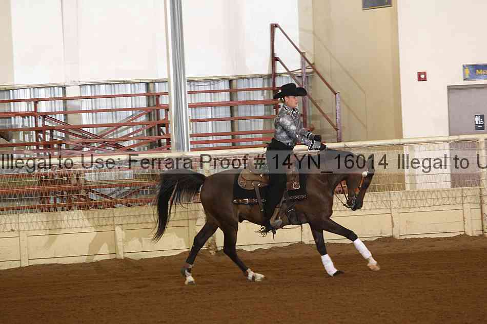 Proof 14yn_16014