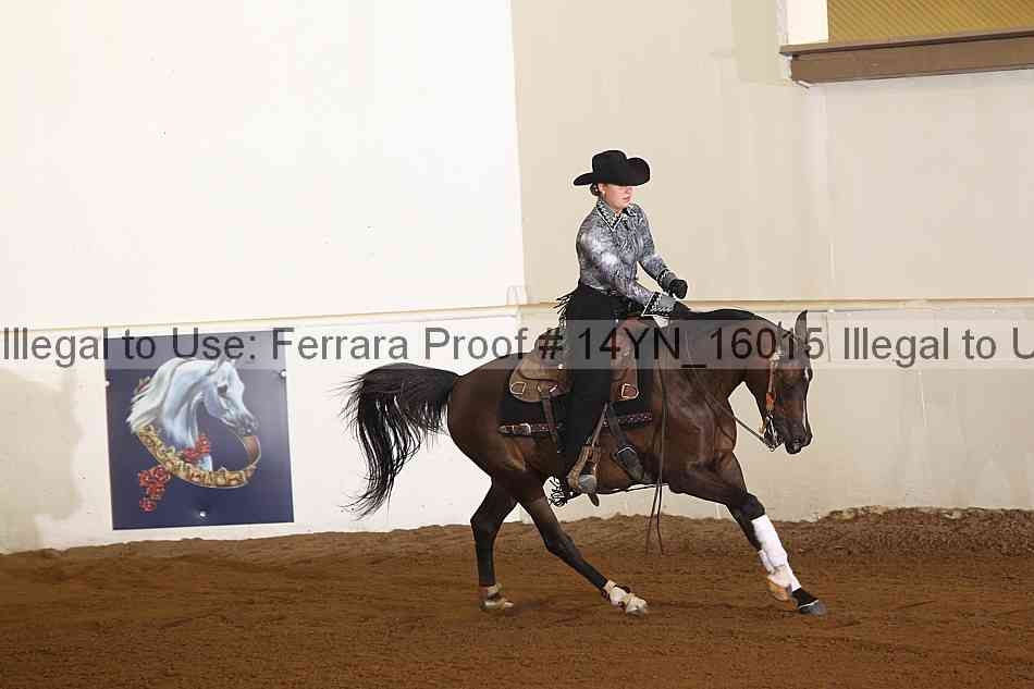Proof 14yn_16015