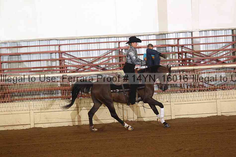 Proof 14yn_16016