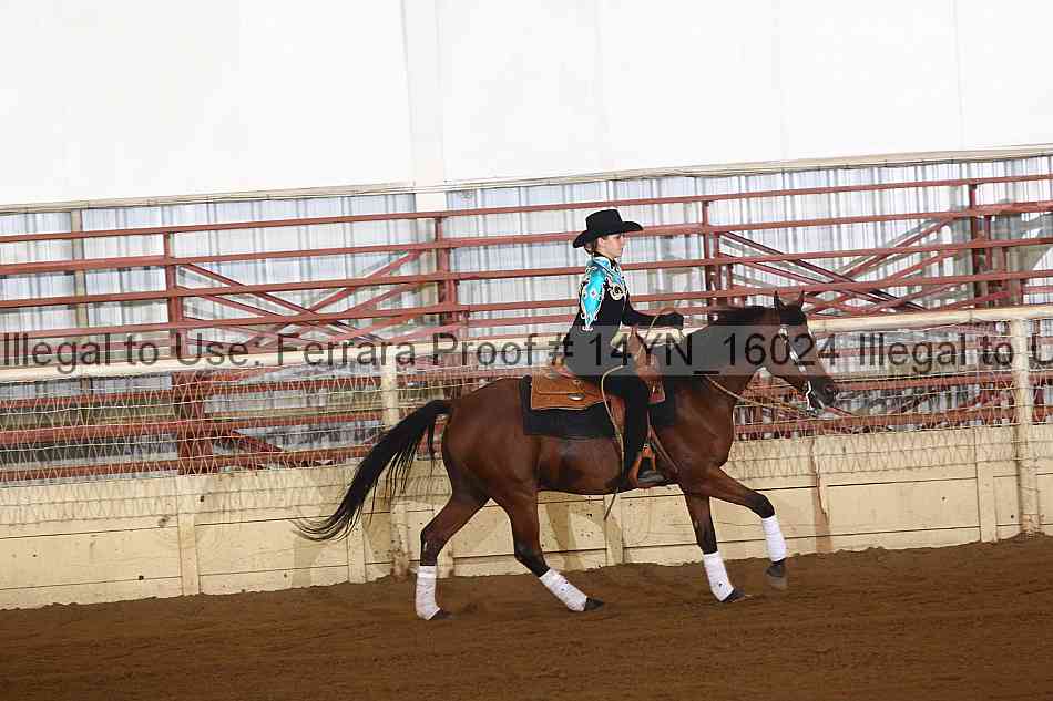 Proof 14yn_16024