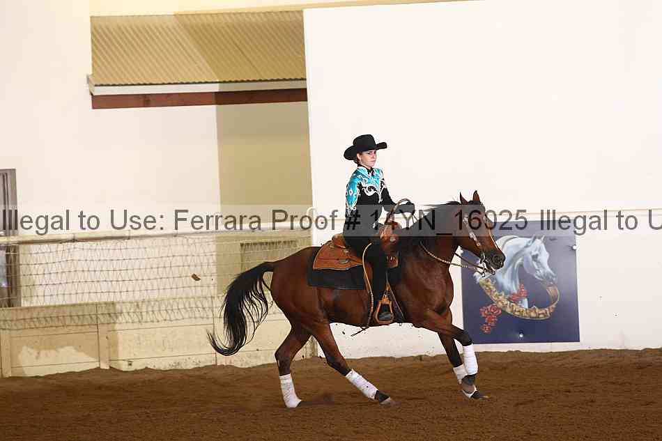 Proof 14yn_16025