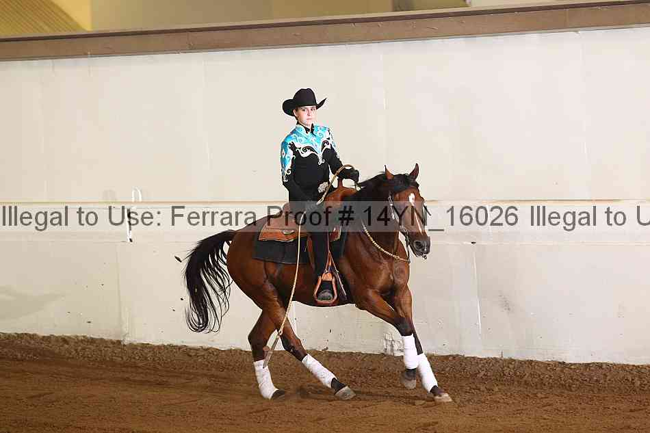Proof 14yn_16026