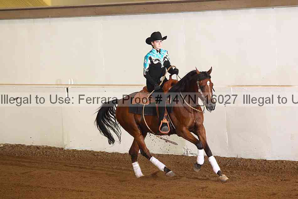 Proof 14yn_16027