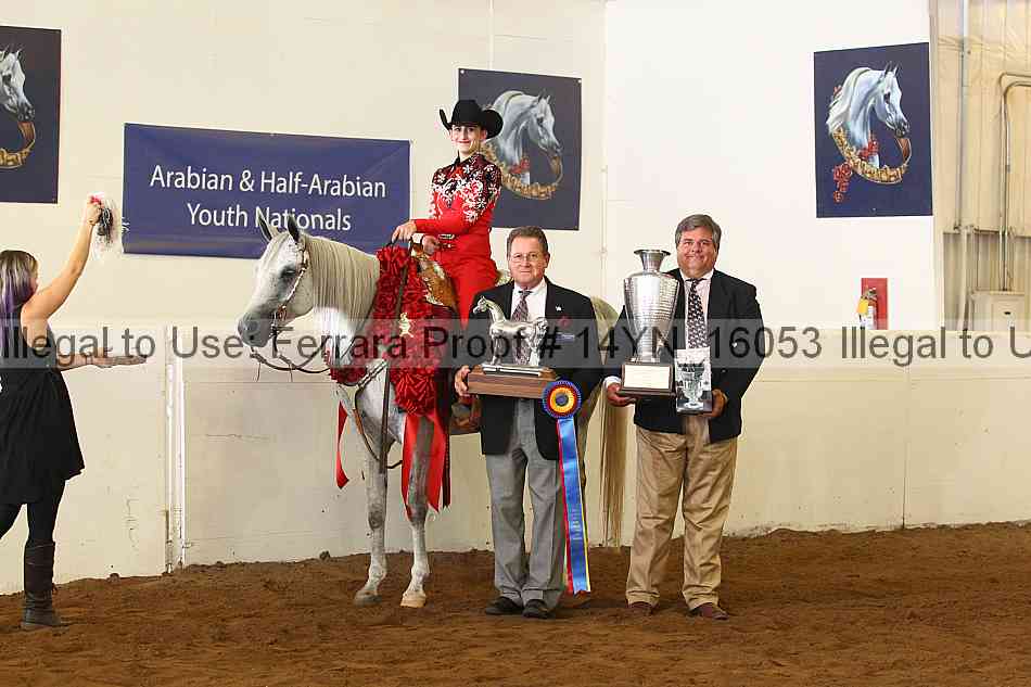 Proof 14yn_16053