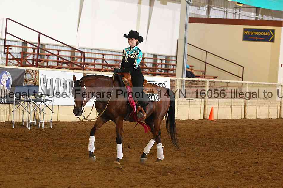 Proof 14yn_16056