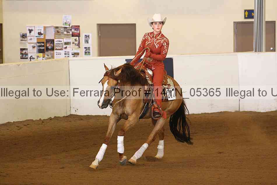Proof 14yn_05365