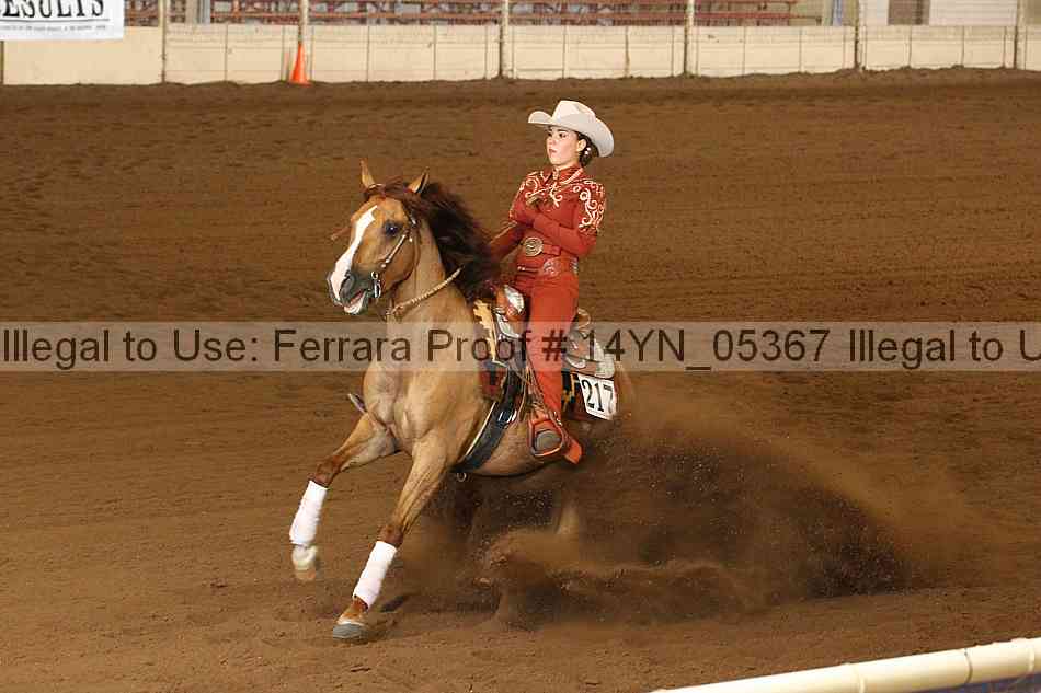 Proof 14yn_05367
