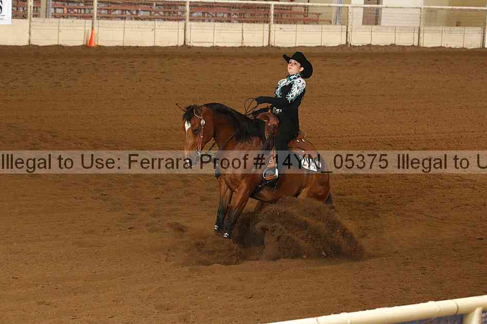 Proof 14yn_05375