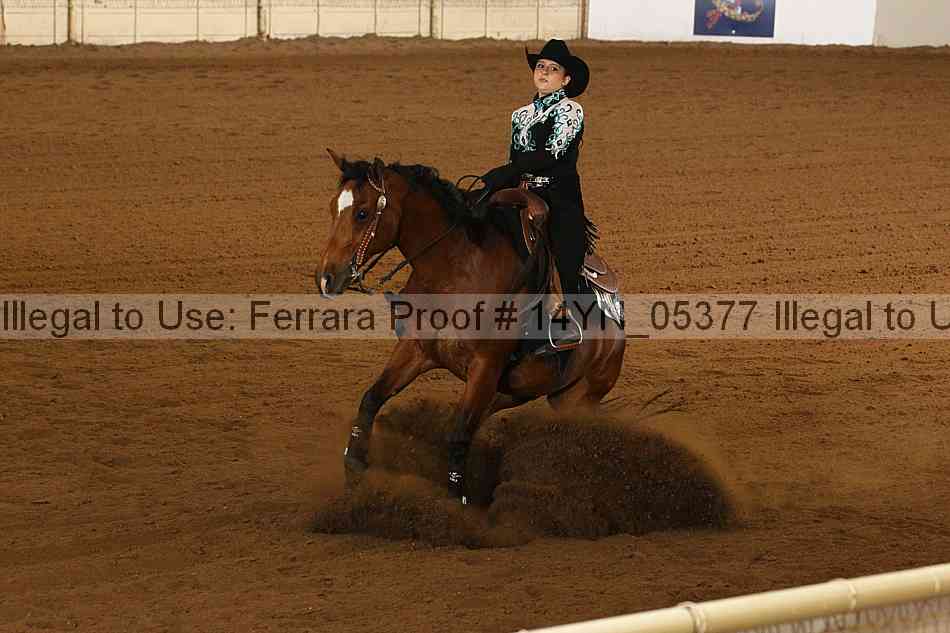 Proof 14yn_05377