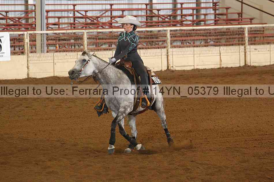 Proof 14yn_05379