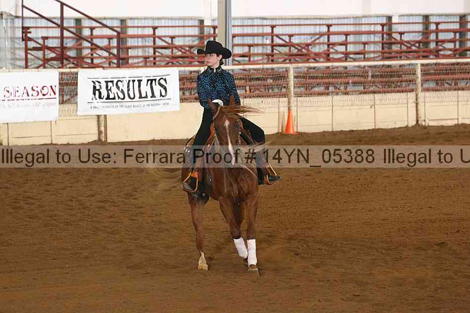 Proof 14yn_05388