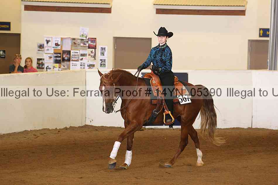 Proof 14yn_05390