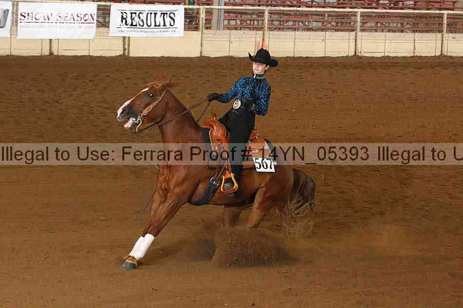 Proof 14yn_05393