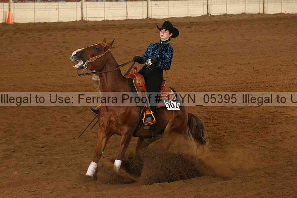 Proof 14yn_05395