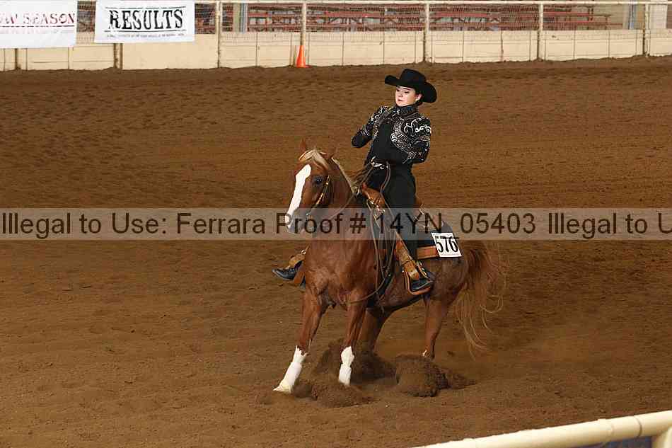 Proof 14yn_05403
