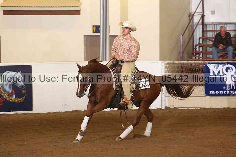 Proof 14yn_05442