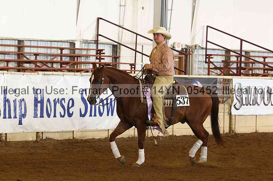 Proof 14yn_05452