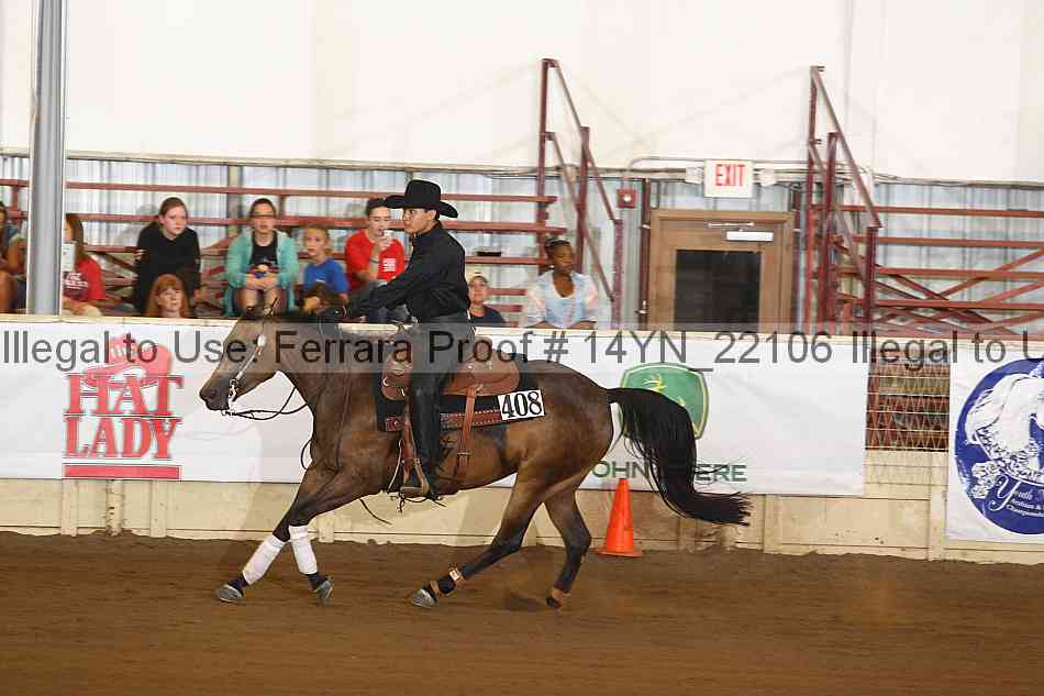 Proof 14yn_22106