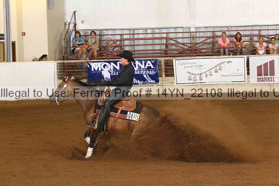 Proof 14yn_22108