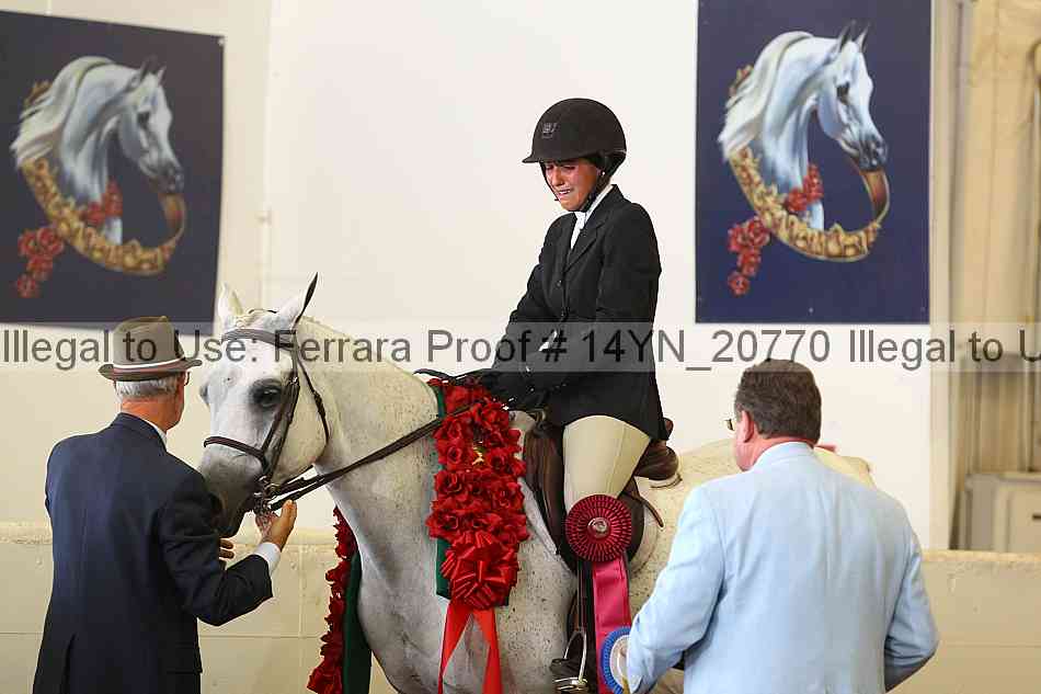 Proof 14yn_20770
