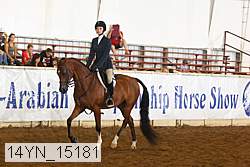 14yn_15181 proof