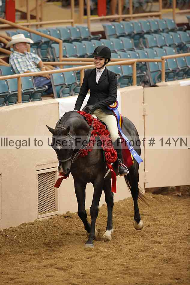 Proof 14yn_22605