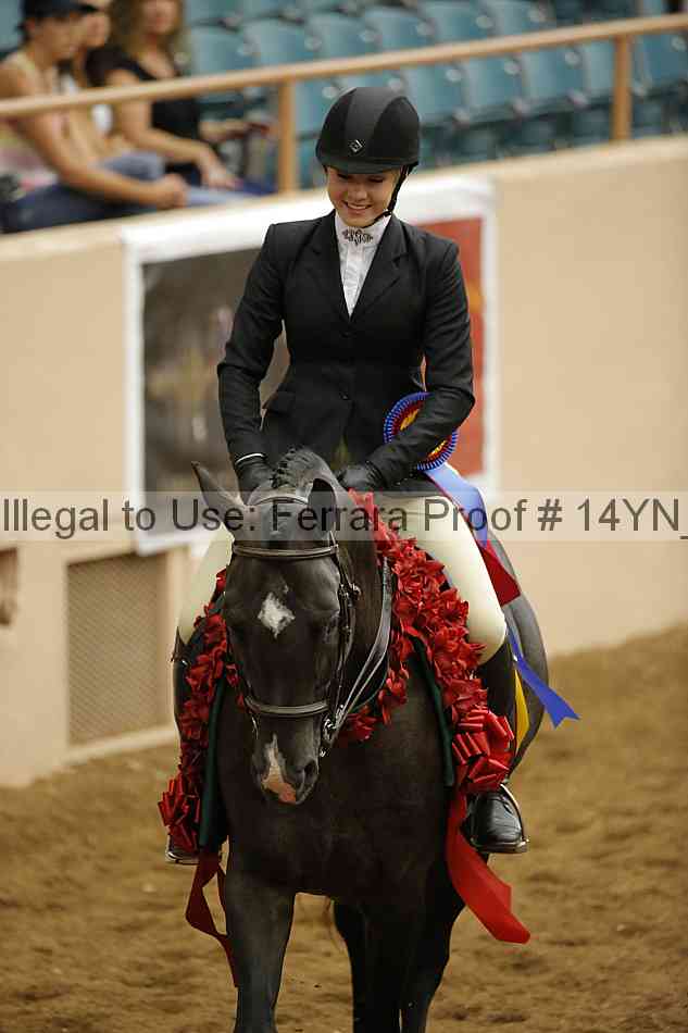 Proof 14yn_22608