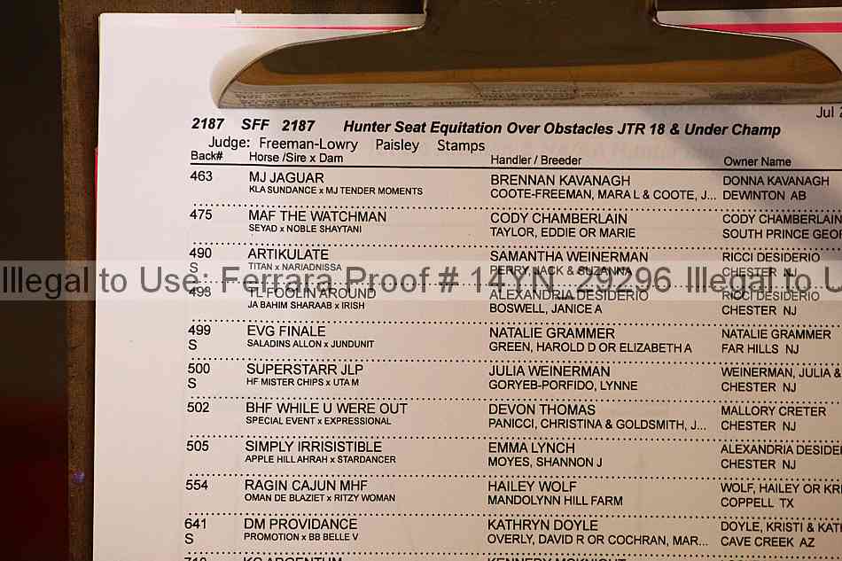 Proof 14yn_29296