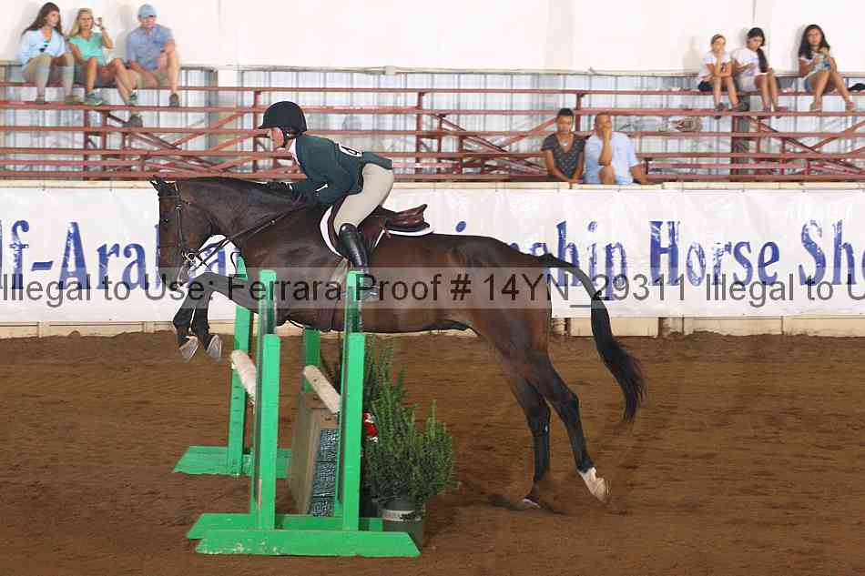 Proof 14yn_29311