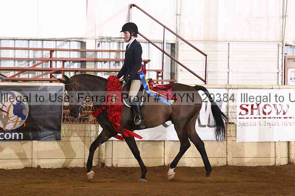 Proof 14yn_29384