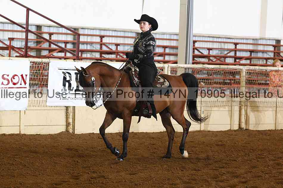 Proof 14yn_10905