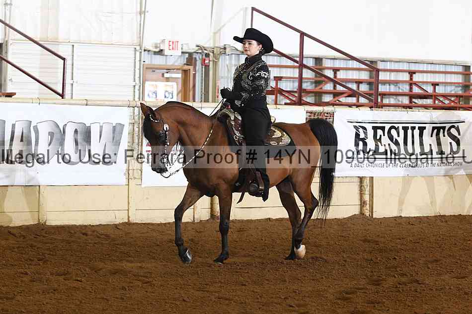 Proof 14yn_10906
